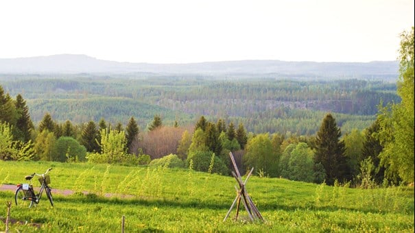 Utsikt över åker och skog