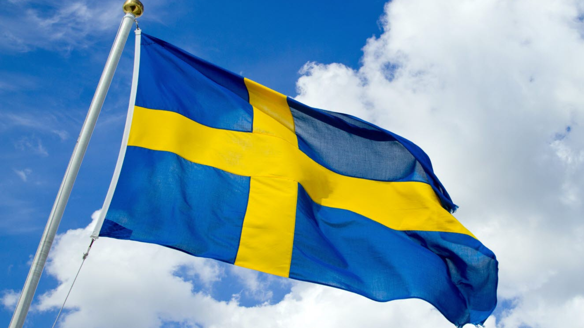 Sveriges flagga. Foto.