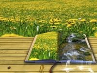 En fantasifull bild på en uppslagen bok med gula vårblommor och rinnande vatten som flödar ut från boken