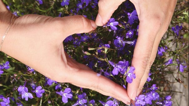 Händer som formar ett hjärta