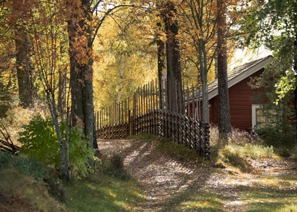 Familj som leker och åker skridskor på is