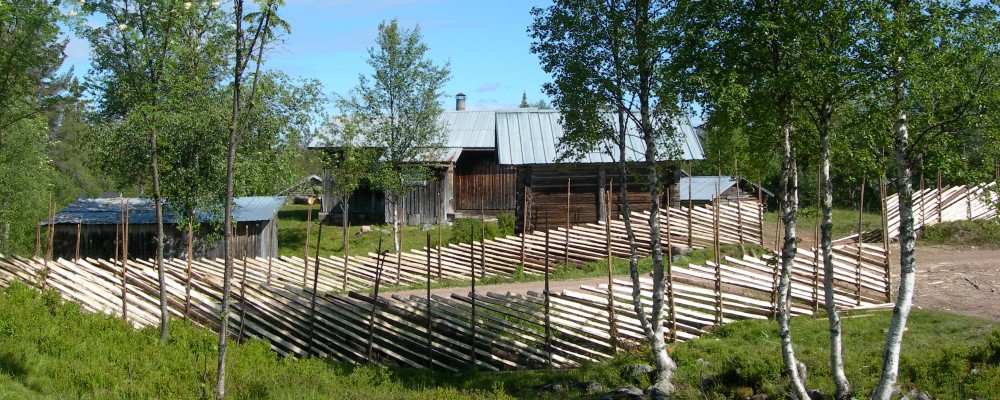 Fäbod Fäbod