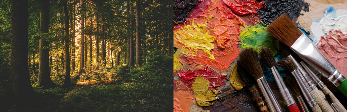 Tv&aring; fotografier: tr&auml;d i skogen samt penslar p&aring; palett.