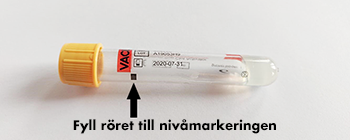 gelrör för serumanalys, guldgul propp