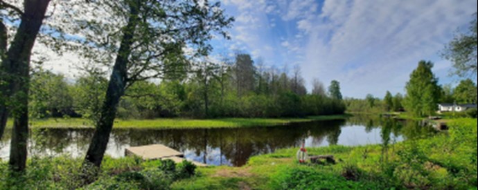 Natur med sjö