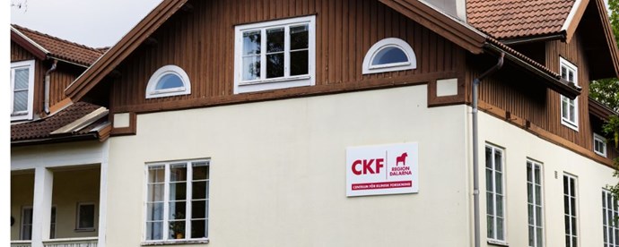 en äldre läkarvilla i gul putsfasad