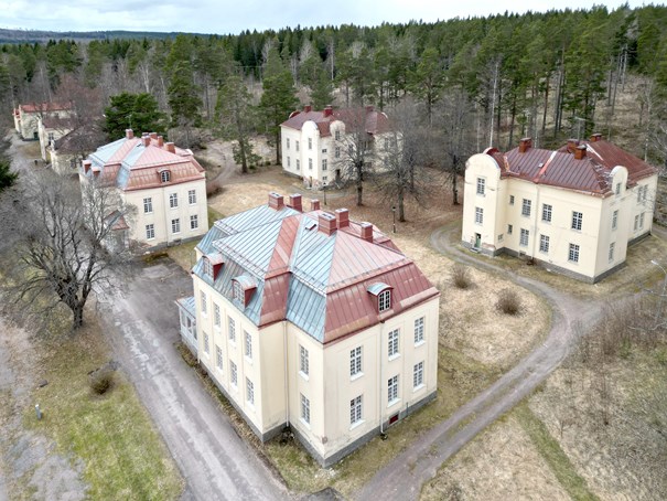 Bild från utställningen Långbad och snittblommor.