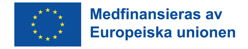 EU-banner med texten Medfinansieras av EU.